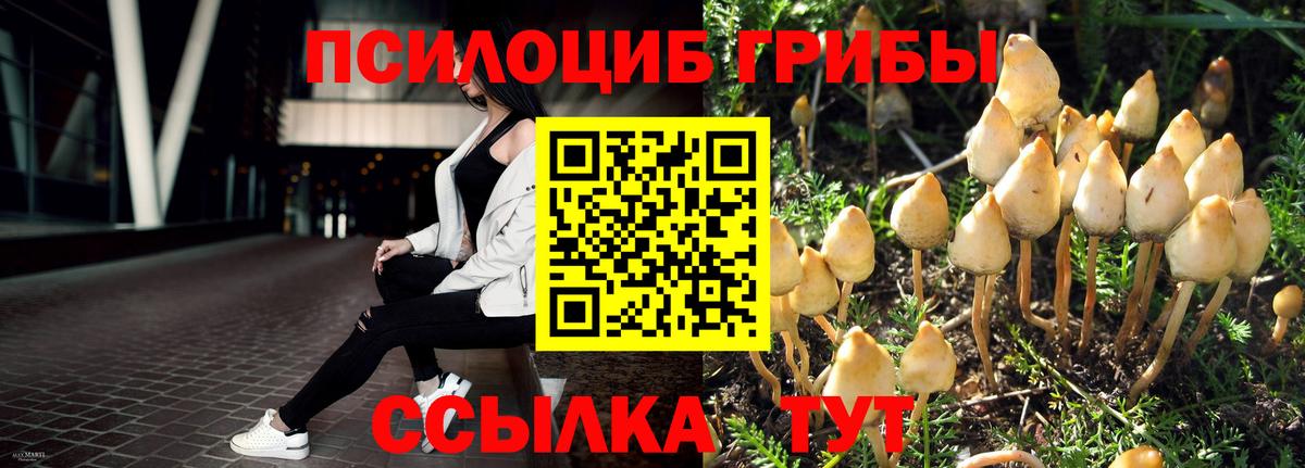 Галлюциногенные грибы мухоморы Богданович