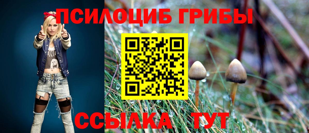 Галлюциногенные грибы Psilocybe  купить наркоту  Богданович  Вход с VPN 
