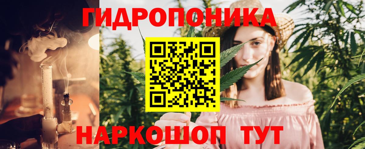 Каннабис MAZAR Богданович